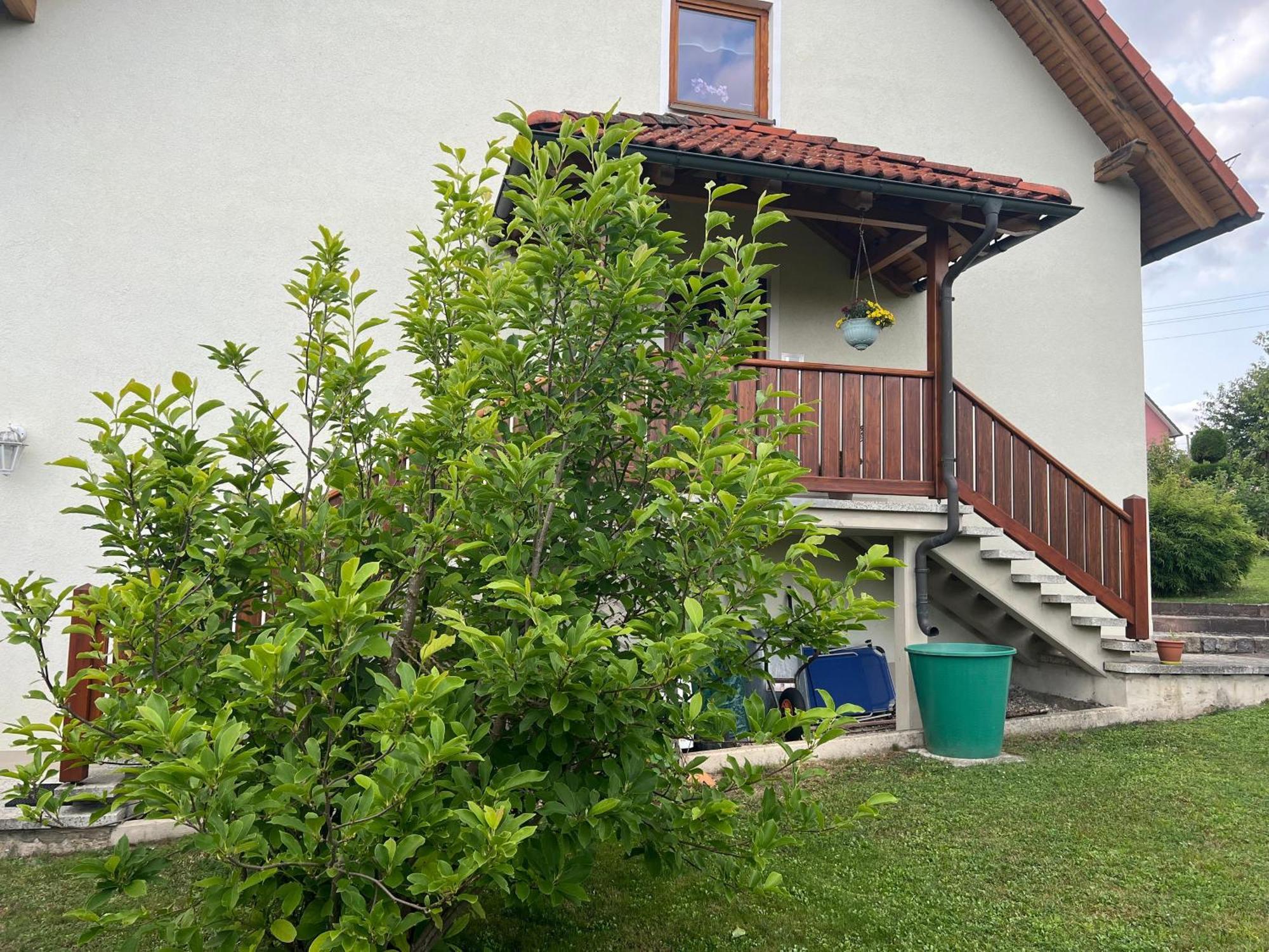 Ferienwohnung Doerfler Hollfeld Εξωτερικό φωτογραφία